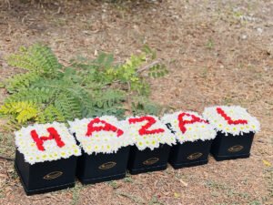 Adana kişiye özel isim yazılı çiçek, beyaz papatya zemin üzerine kırmızı güllerle harf kutusu.