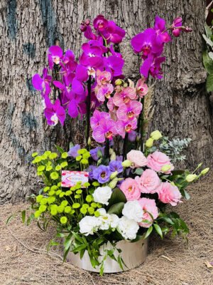 Adana 3 dallı tasarım orkide aranjmanı, güller ve mevsim çiçekleriyle süslenmiş saksı çiçeği.
