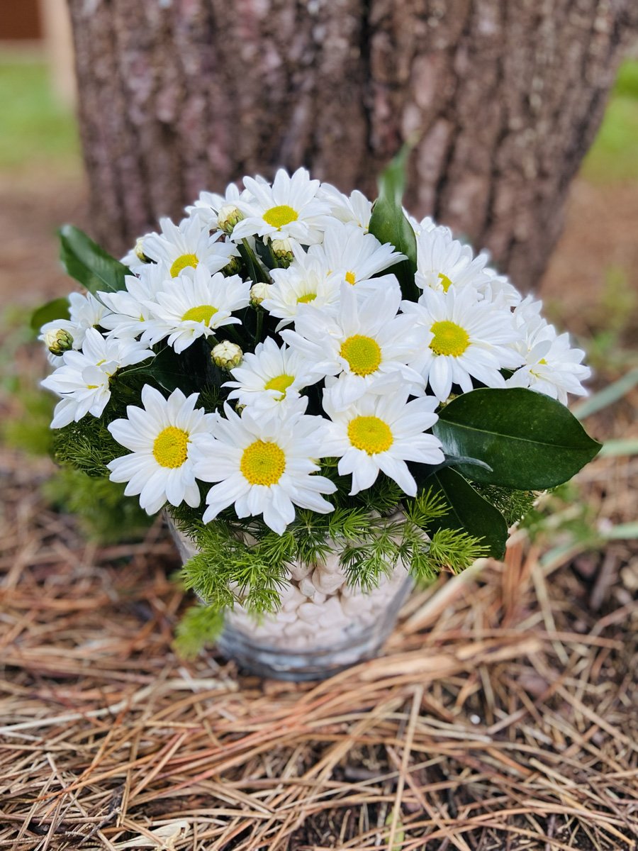 Adana cam vazoda papatya, beyaz dekoratif taşlı sade papatya aranjmanı.