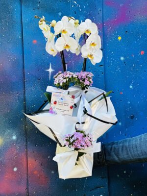 Adana beyaz orkide siparişi, alt kısmı renkli çin karanfili süslü beyaz kağıtlı tasarım.