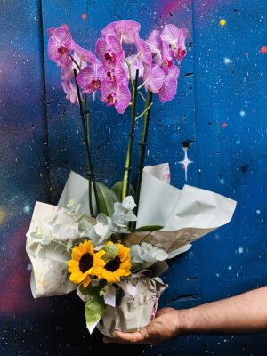 Adana damarlı lila orkide, üzerinde 2 adet ayçiçeği bulunan premium paketli tasarım çiçek.