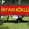 Adana dev gül panosu, kırmızı güllerden çiçek duvarı üzerine beyaz çiçekle isim yazılı lansman dekoru.
