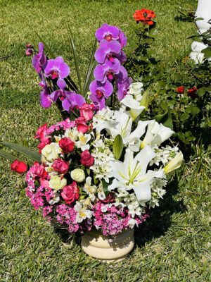 Adana lila orkide aranjmanı, beyaz lilyum kırmızı ve sarı güllerle hazırlanmış büyük boy saksı çiçeği.
