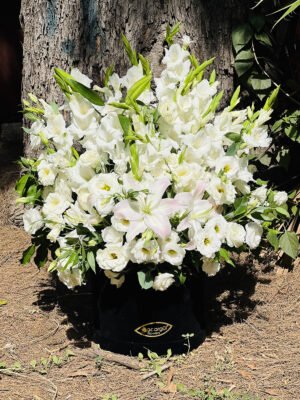 Adana büyük boy casablanca kutusu, siyah lüks kutuda iri ve kokulu beyaz lilyum aranjmanı.