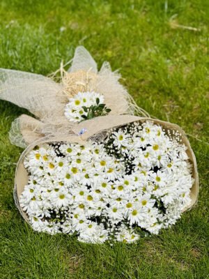 Adana jumbo boy papatya buketi, doğal kraft kağıt ve rustik hasır fileye sarılı, araları cipso çiçekleriyle dolu dev beyaz papatya aranjmanı.