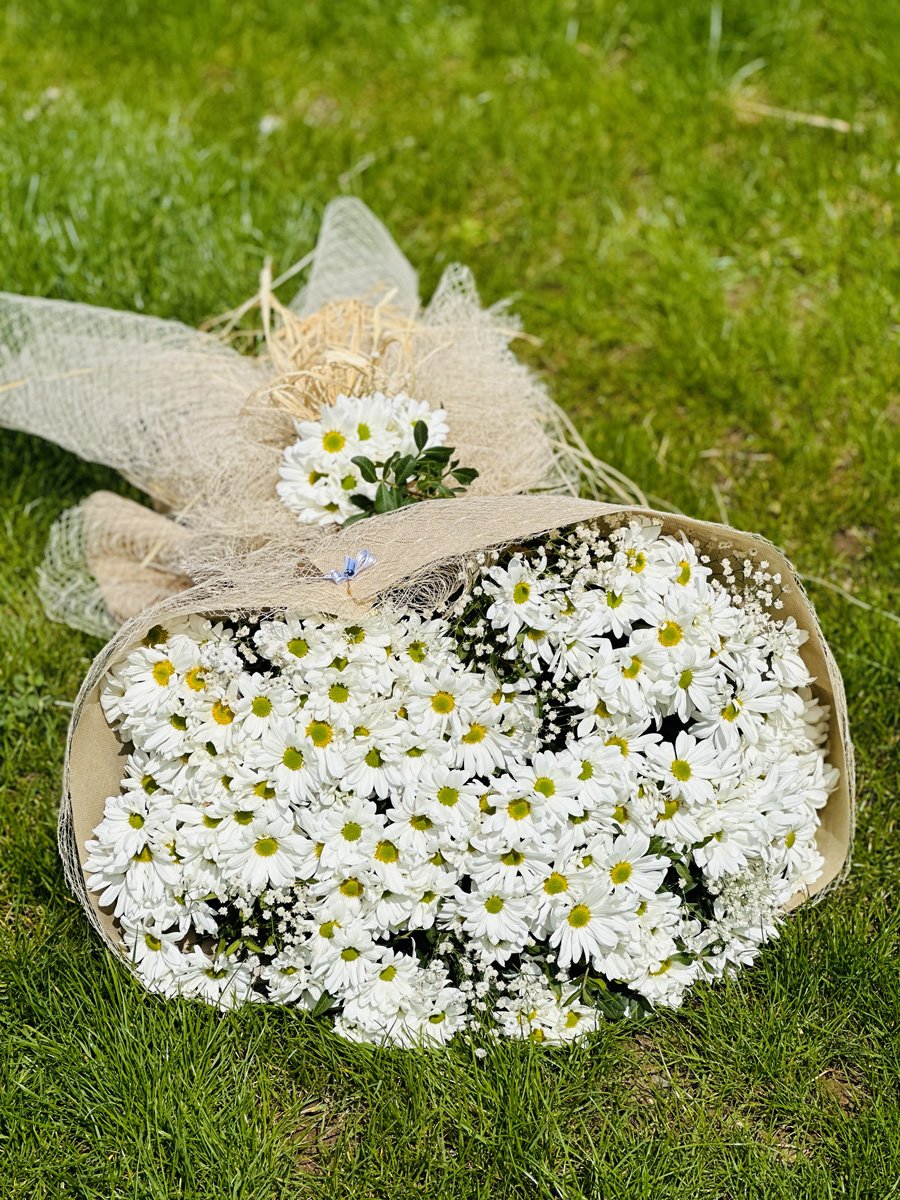 Adana jumbo boy papatya buketi, doğal kraft kağıt ve rustik hasır fileye sarılı, araları cipso çiçekleriyle dolu dev beyaz papatya aranjmanı.