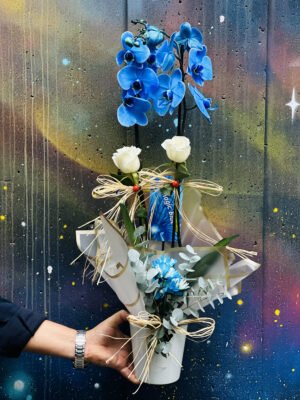 Adana mavi orkide siparişi, beyaz seramik saksı içerisinde iki adet beyaz gül, okaliptüs ve mavi krizantemlerle süslenmiş lüks mavi orkide aranjmanı.